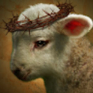 Meet your Posher, Sister